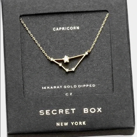 Jewelry - Capricorn 14k gold dipped necklace - Astrology Zodiac